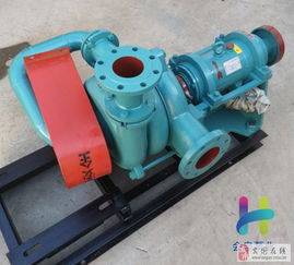 西伯章45kw壓濾機(jī)入料泵 臥式全貫流泵的專業(yè)解析
